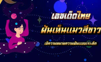 ฝันเห็นแมวสีขาว