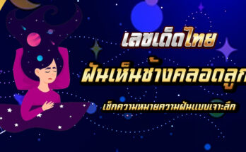 ฝันเห็นช้างคลอดลูก