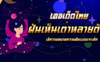 ฝันเห็นเต่าหลายตัว