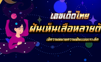 ฝันเห็นเสือหลายตัว
