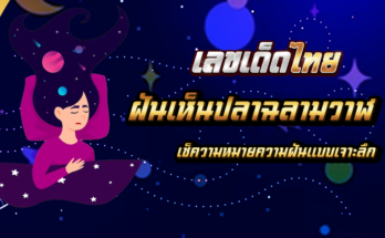 ฝันเห็นปลาฉลามวาฬ