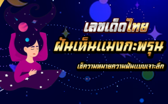 ฝันเห็นแมงกะพรุน